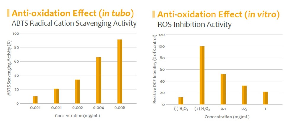 Rosa_Anti-oxidation 2.jpg