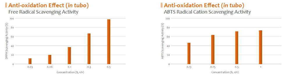 ActiveE-RSO_Anti-oxidation 1.jpg