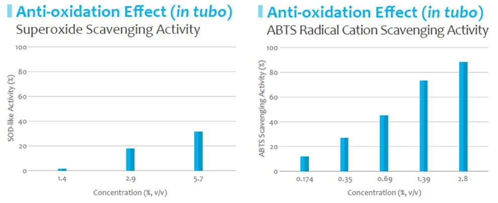 Active Calm_Anti-oxidation 2.jpg