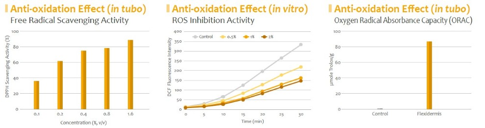 Flexidermis_Anti-oxidation 1.jpg